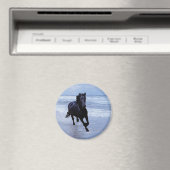 Aimant Un cheval sauvage et libre (In Situ (Lave-vaisselle))
