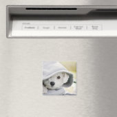 Aimant un chien blanc portant un capot de chemise (In Situ (Lave-vaisselle))