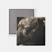 Aimant Un chien de taureau dans le pénis (Recto/Verso)