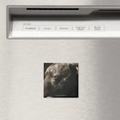 Aimant Un chien de taureau dans le pénis (In Situ (Lave-vaisselle))