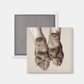 Aimant Un chien pattes (Recto/Verso)