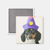 Aimant Un chien portant un drôle de casquette (Recto/Verso)