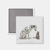 Aimant Un chien regarde un chat (Recto/Verso)