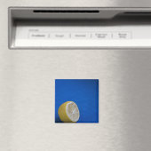 Aimant Un citron méditerranéen (In Situ (Lave-vaisselle))