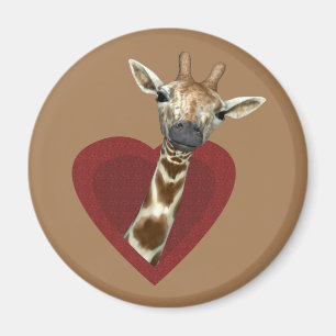 Aimant Un Coeur Doux Pour Les Giraffes