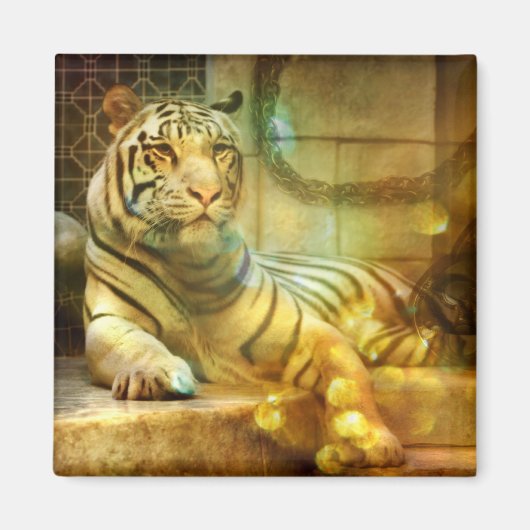 Aimant Un coeur reposant (Devant)