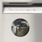 Aimant Un Coin Cosy Kittens (In Situ (Lave-vaisselle))