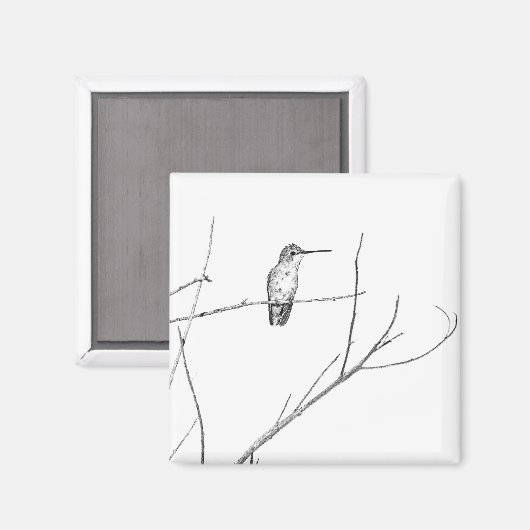 Aimant Un colibri sur un bâton (Recto/Verso)