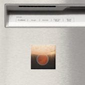 Aimant Un concept d'artisti (In Situ (Lave-vaisselle))