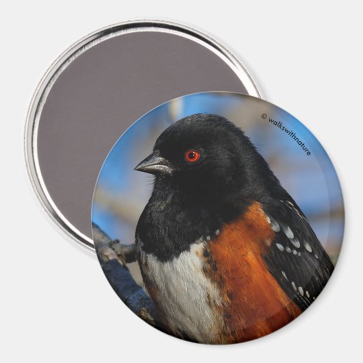 Aimant Un cou tacheté dans un arbre (Recto/Verso)