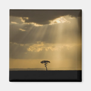 Aimant Un coucher de soleil mystique au retour au camp da