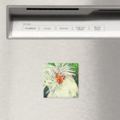 Aimant Un coup d'oeil à la poule (In Situ (Lave-vaisselle))