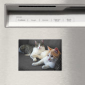 Aimant Un couple de Kitties (In Situ (Lave-vaisselle))