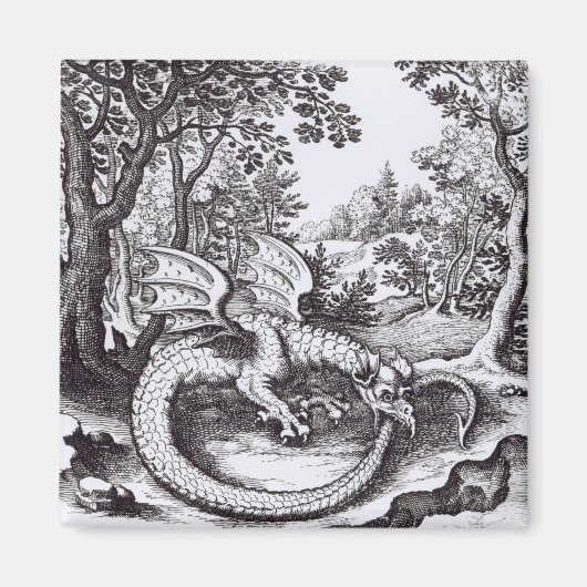 Aimant Un dragon dans la forêt (Devant)