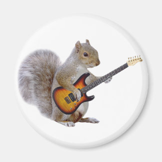 Aimant Un écureuil Jouant de la guitare