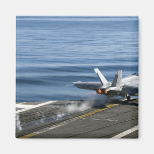 Aimant Un frelon superbe de F/A-18E