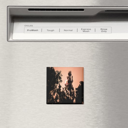 Aimant Un incendie dans la vallée de l'Inde........ (In Situ (Lave-vaisselle))