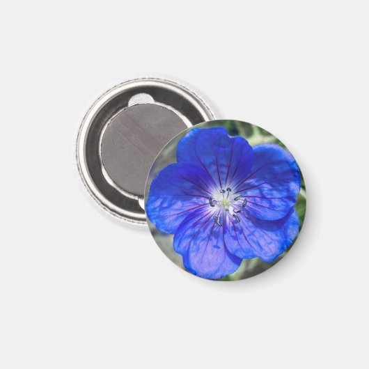 Aimant Un indice d'aimant "Floral bleu" Z (Recto/Verso)