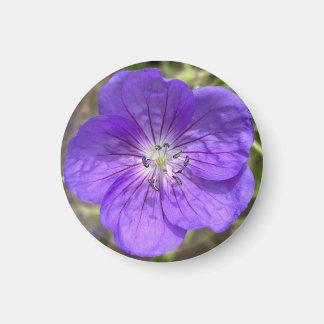 Aimant Un indice d'aimant "Floral pourpre" Z