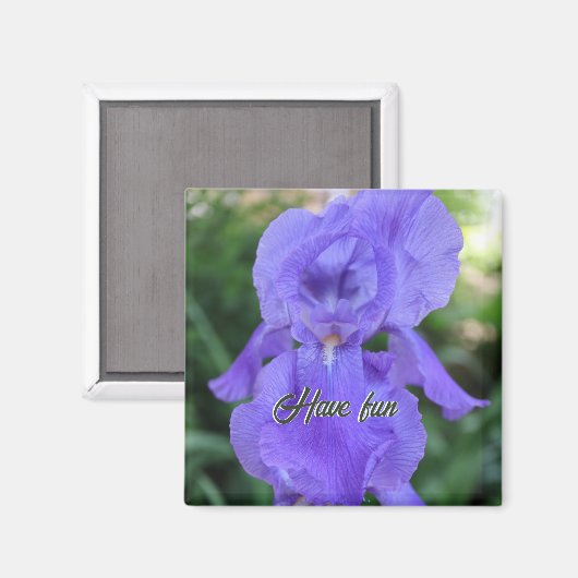 Aimant Un Iris Délicat Délicat Danseuse Violette (Recto/Verso)