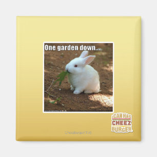 Aimant Un jardin Down�