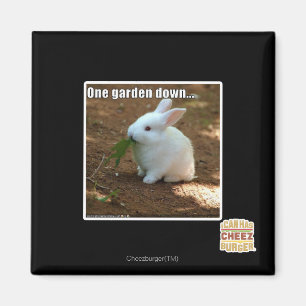 Aimant Un jardin Down�