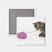 Aimant Un jeune chaton à table jouant avec une boule de (Recto/Verso)