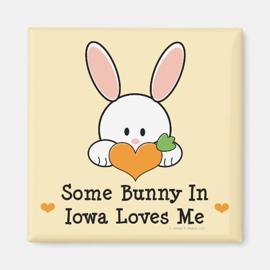 Aimant Un Lapin Dans L'Iowa M'Aime L'Aimant (Devant)