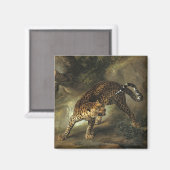 Aimant Un léopard sauvage féroce (par Jean-Baptiste Oudry (Recto/Verso)