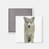 Aimant Un loup (Recto/Verso)