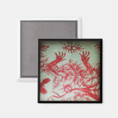 Aimant un oeil que vous croyez dessiner l'oeil rouge (Recto/Verso)