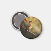 Aimant Un oiseau qui chante le matin (Recto/Verso)