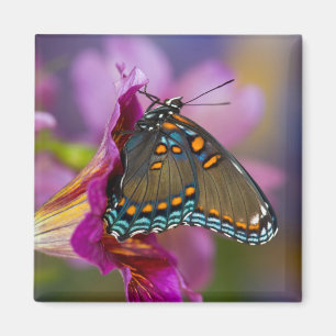 Aimant Un papillon machaon