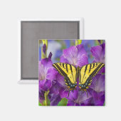 Aimant Un papillon Monarque sur des Glaïeuls violets (Recto/Verso)