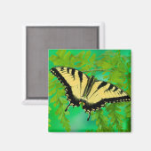 Aimant Un papillon swallowtail atterrissant (Recto/Verso)