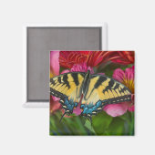 Aimant Un papillon swallowtail tigre (Recto/Verso)