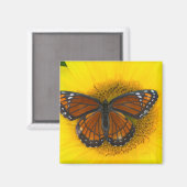 Aimant Un papillon vice-roi | Limenitis Archippus (Recto/Verso)