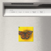 Aimant Un papillon vice-roi | Limenitis Archippus (In Situ (Lave-vaisselle))