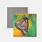 Aimant Un papillon vice-roi sur des fleurs (Recto/Verso)