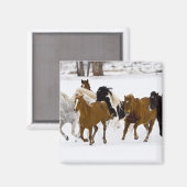 Aimant Un paysage hivernal de chevaux au galop (Recto/Verso)