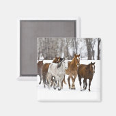 Aimant Un paysage hivernal de course (Recto/Verso)