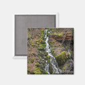 Aimant Un printemps frais.... (Recto/Verso)