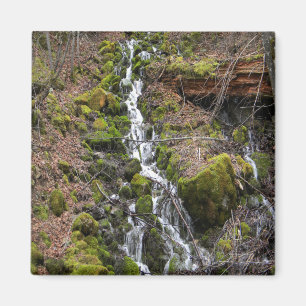 Aimant Un printemps frais....