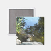 Aimant Un Raccoon de plongée (Recto/Verso)