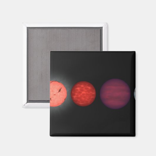 Aimant Un rendu d'artiste comparant nains bruns (Recto/Verso)