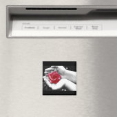 Aimant Un Rose à la main 2 (In Situ (Lave-vaisselle))