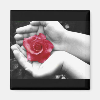 Aimant Un Rose à la main 2