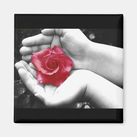 Aimant Un Rose à la main 2 (Devant)