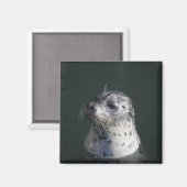 Aimant Un sceau portuaire (Recto/Verso)