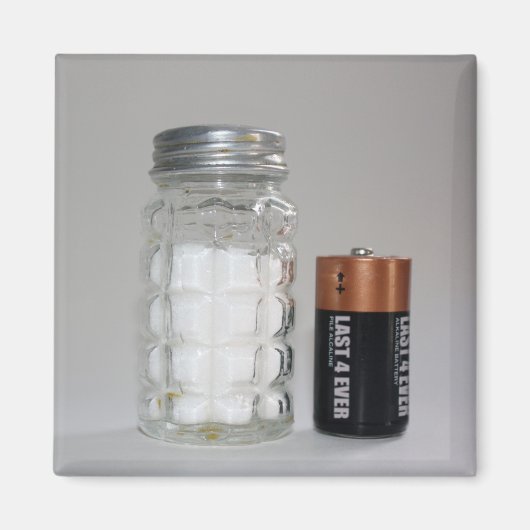 Aimant Un sel et une batterie (Devant)